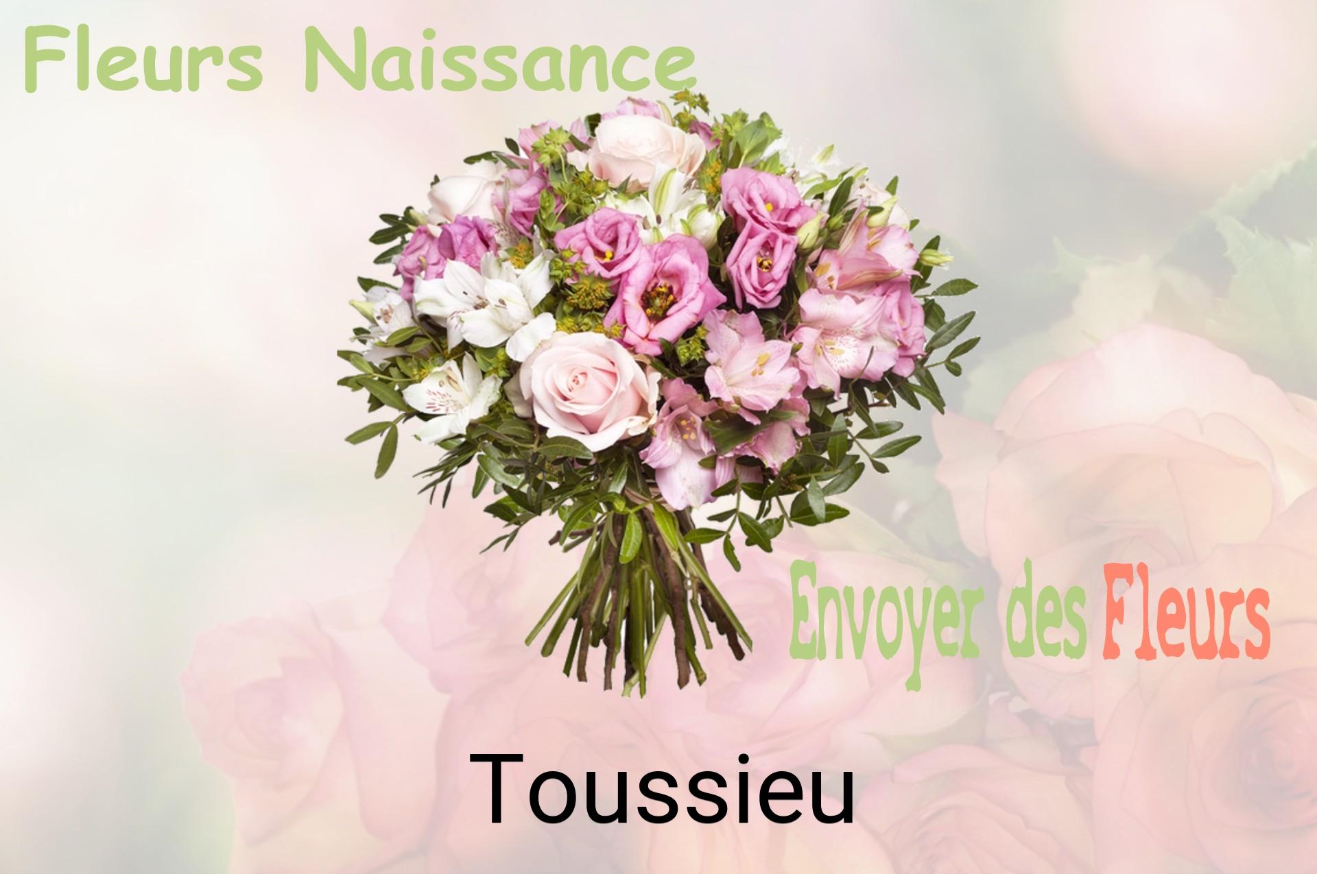 Bouquet de fleurs de naissance livré à Toussieu
